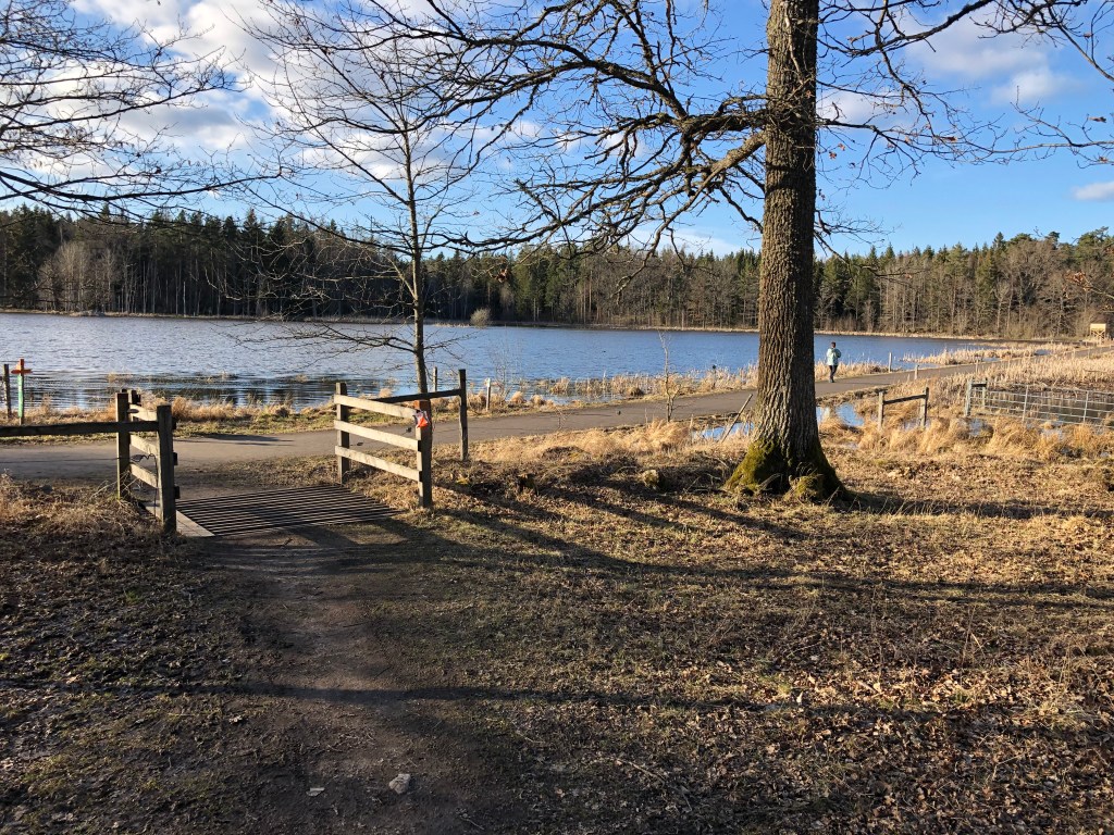 Fågelsjö vid Ullstämmaskogens norra entré.