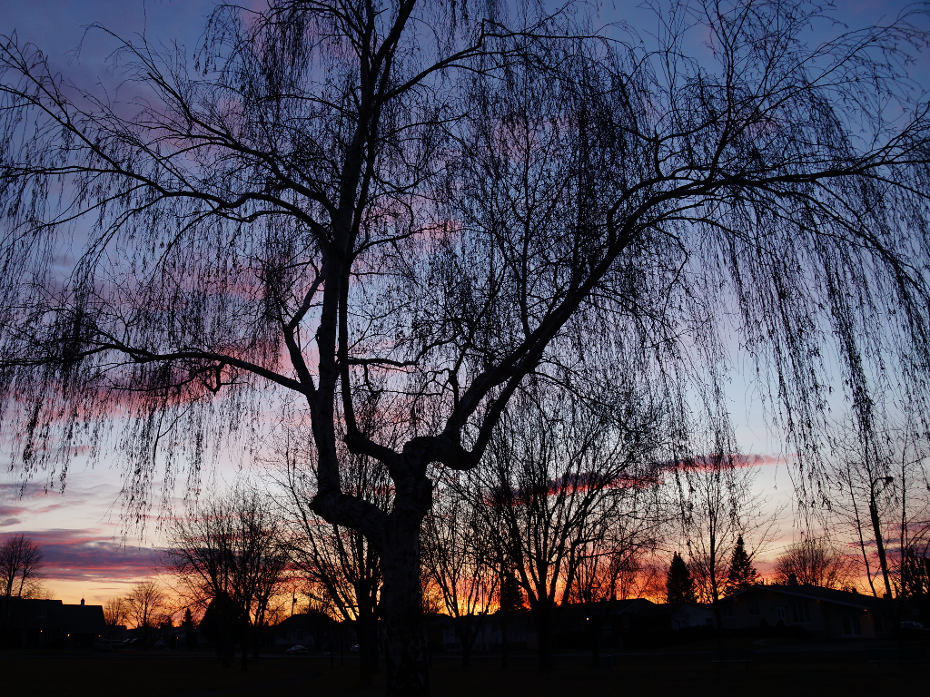 Foto från https://www.pxfuel.com/en/free-photo-xitke/
En bild med en tårpil i siluett mot en solnedgång