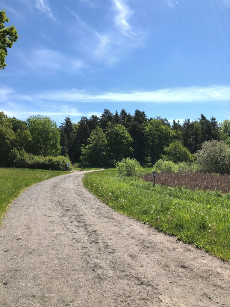 Starten för Lidingöloppet på Koltorps Gärde.