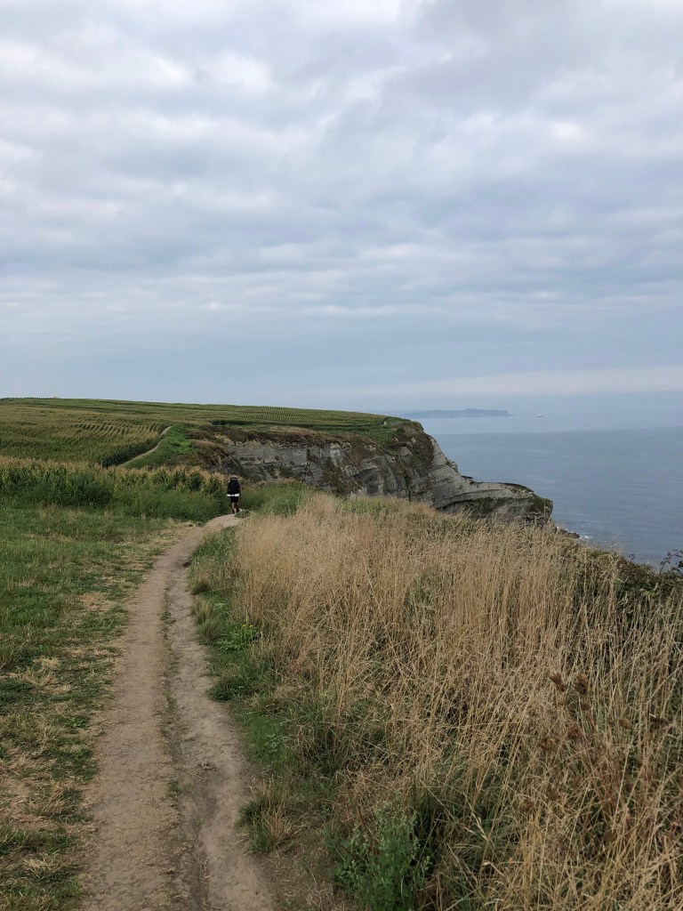 Bild på en stig längs med kusten på väg till Santander. En pilgrimsvandrare går jämte majsodlingarna.
