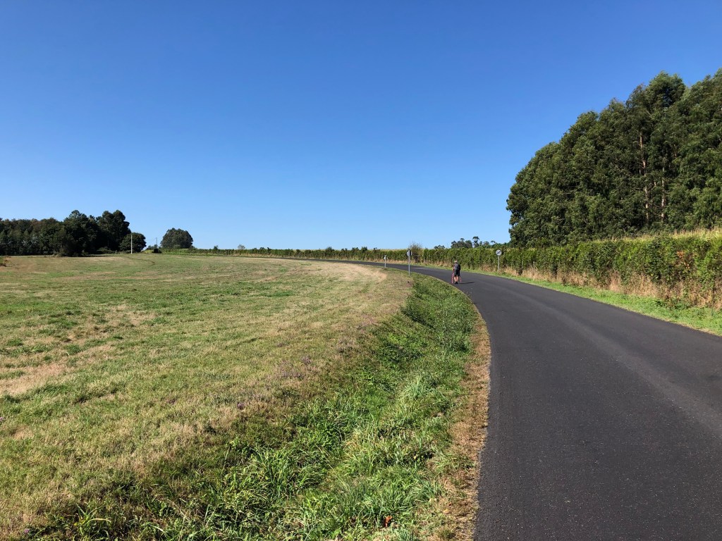 A long road ahead on a really hot day on the camino with clear blue sky and a beaming sun.